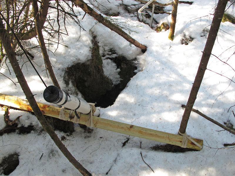 No tracks near Jewel's den - March 11, 2012
