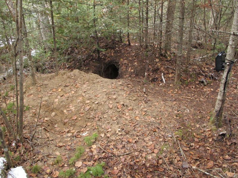 Trail cam at Jewel's den - 20121027