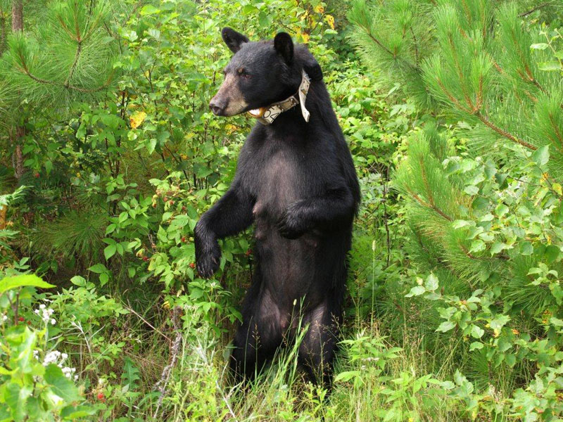Jewel standing - July 17, 2012