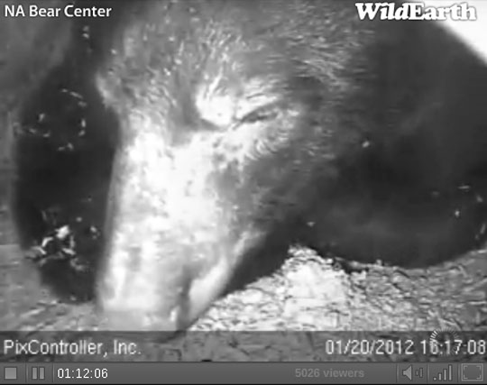 Jewel - Jan 20, 2012