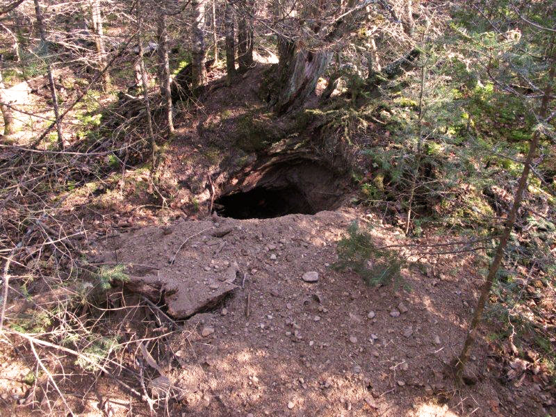 Jewels den_-__20111022