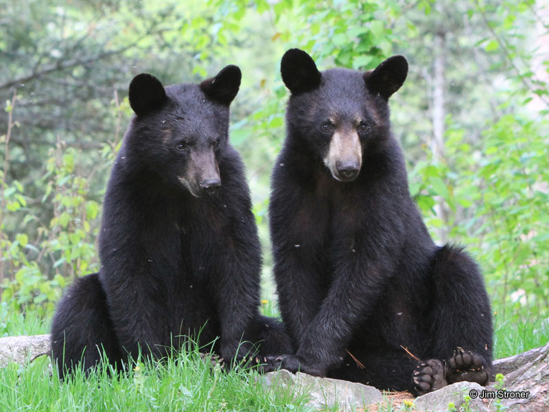 Jim_and_Bill_-_20110529