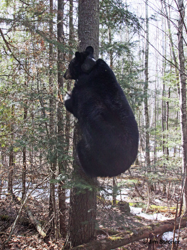Jo_climbing_-_20110414