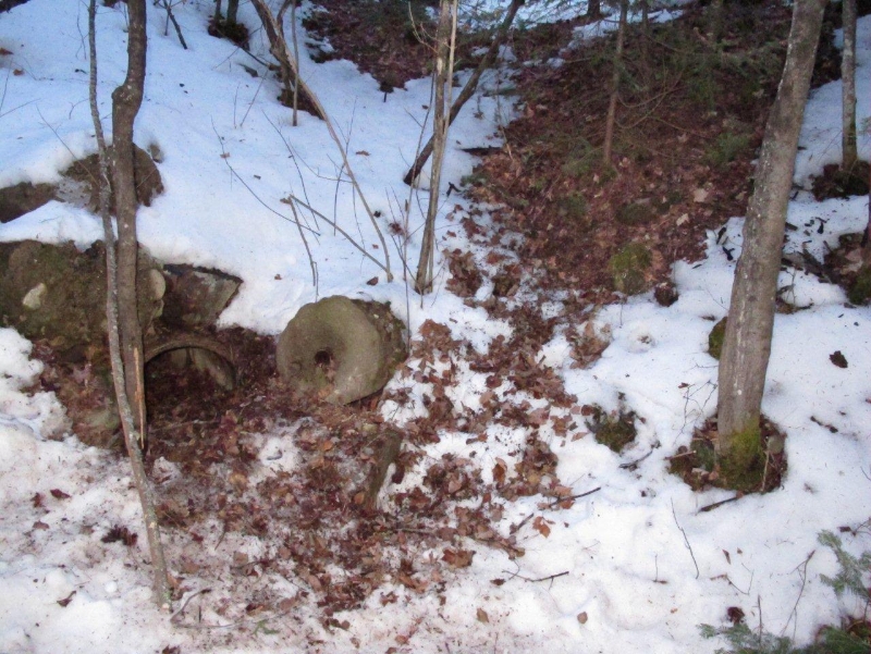 Jo has been out raking - March 14, 2012