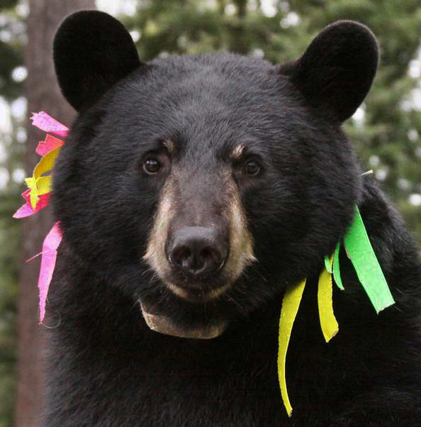 Jo_w_ribbons_by_Jim_Stroner_9-11-10a