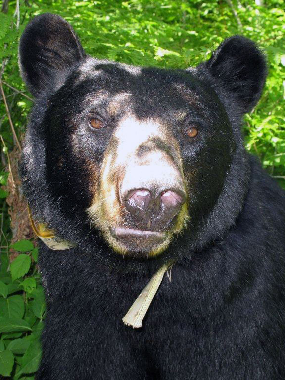 Juliet - June 24, 2012