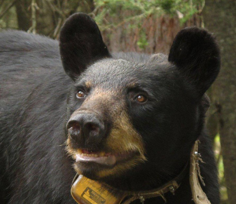 Juliet - July 31, 2012