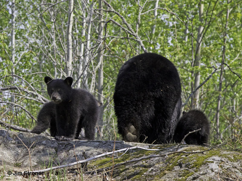 Juliet and family heading off - May 19, 2012