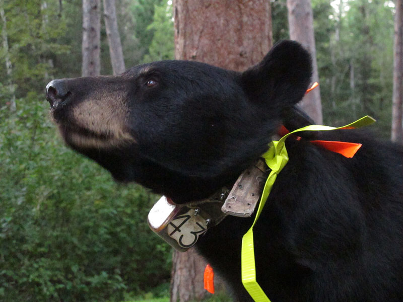 Juliet - Aug 19, 2012