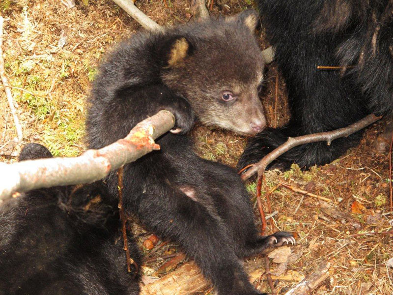 Juliet's little acrobat - April 8, 2012