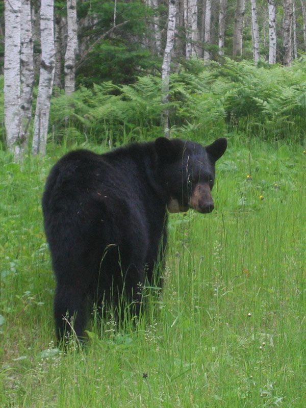 June looks back - June 24, 2004