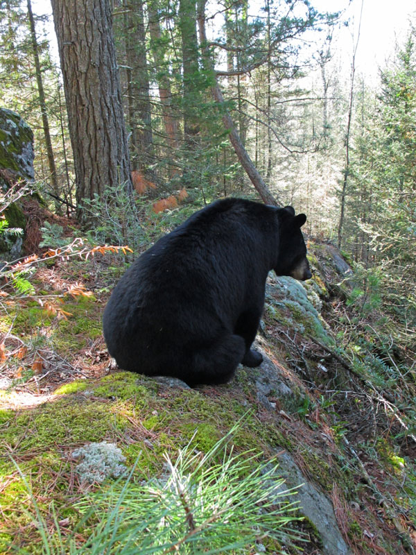 June - April 26, 2012