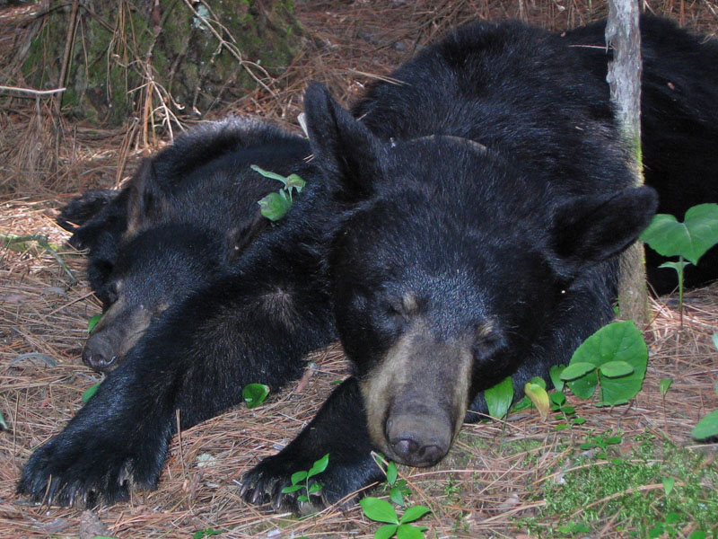 June and Pete - July 19, 2005