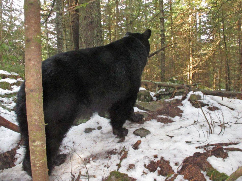 June checks for danger - April 19, 2012