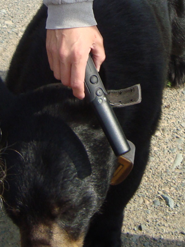 June_head_scan_20110808