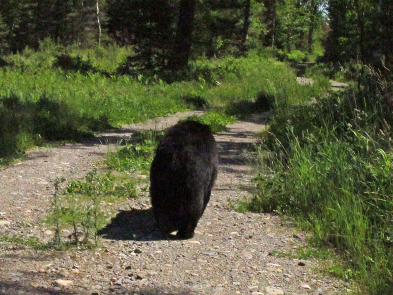 June continuing her mission - June 13, 2012