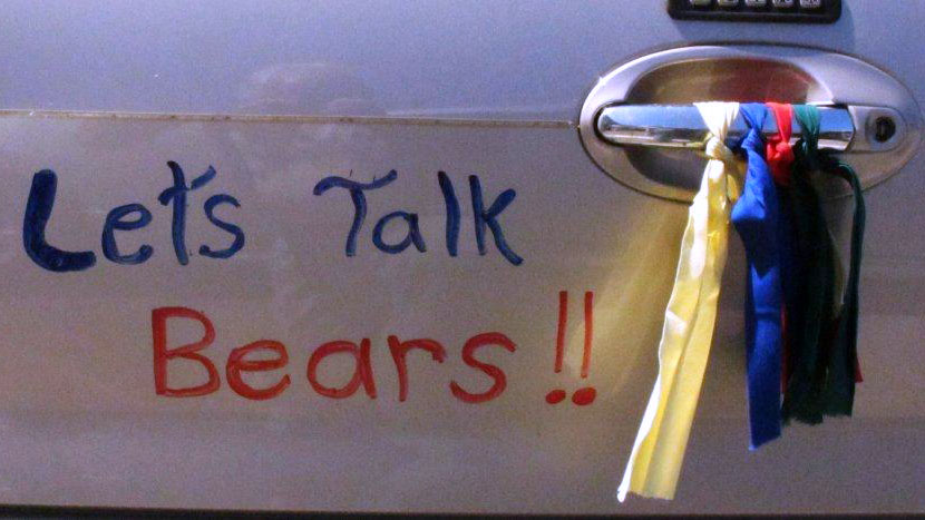 Lily Fan's festive car - July 19, 2012