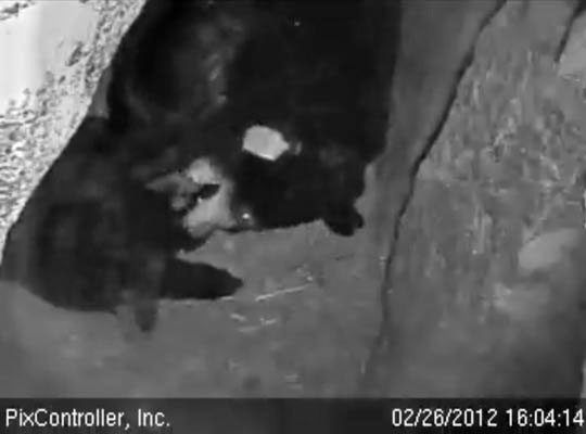 Lily and Faith play - Feb 26, 2012