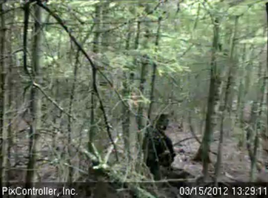 Lily and Faith roam - March 15, 2012