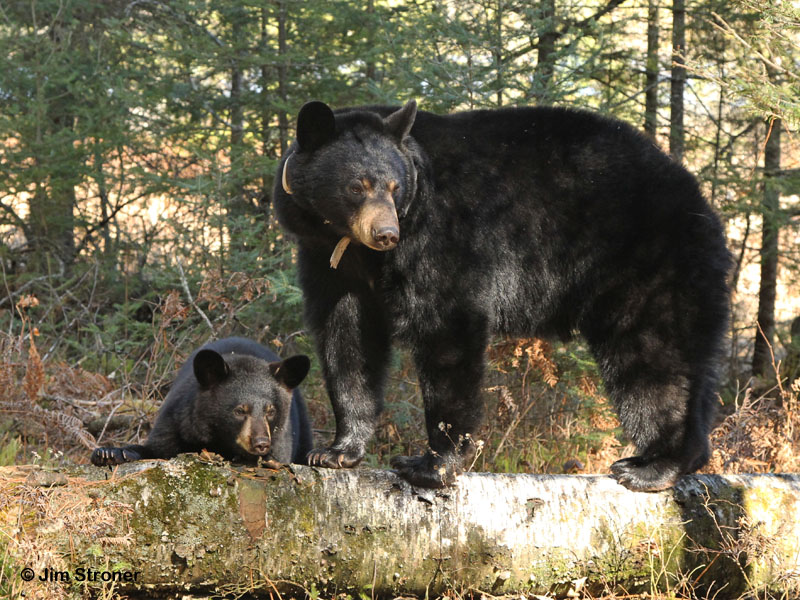Lily and Faith - April 6, 2012
