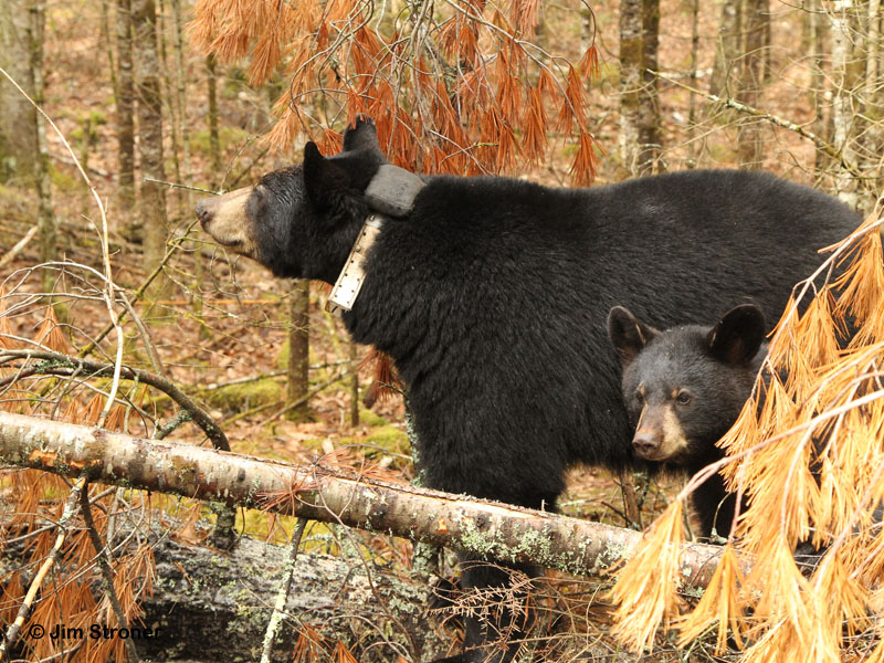 Lily and Faith - April 14, 2012