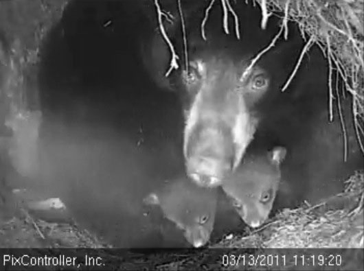 Lily_Faith_and_Jason_-_20110313_111920