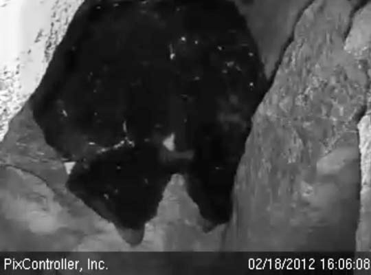 Lily and Faith eat snow - Feb 18, 2012