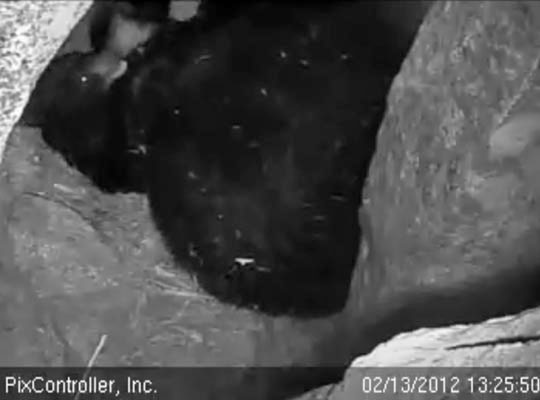 Lily and Faith play - Feb 13, 2012