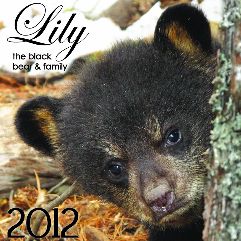 Lily Family_2012_cover
