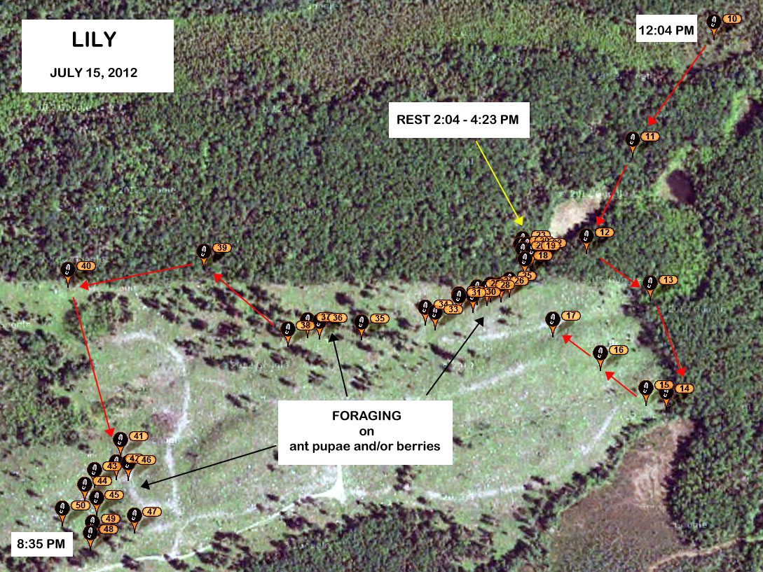 Lily's GPS locations - July 15, 2012