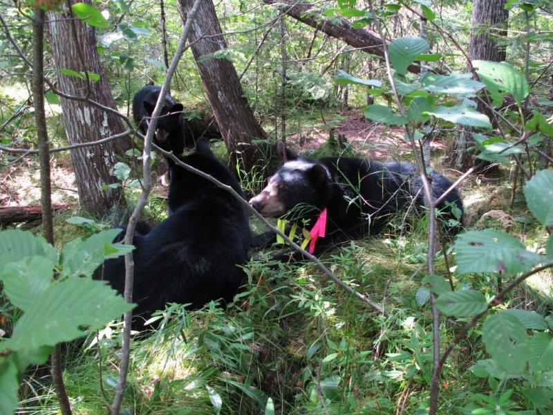 Lily_Hope_Faith_8-30-11