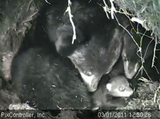 Lily_Hope_and_Jason_-_20110301_125026