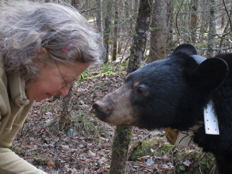 Lily sniffs Sue - March 26, 2012