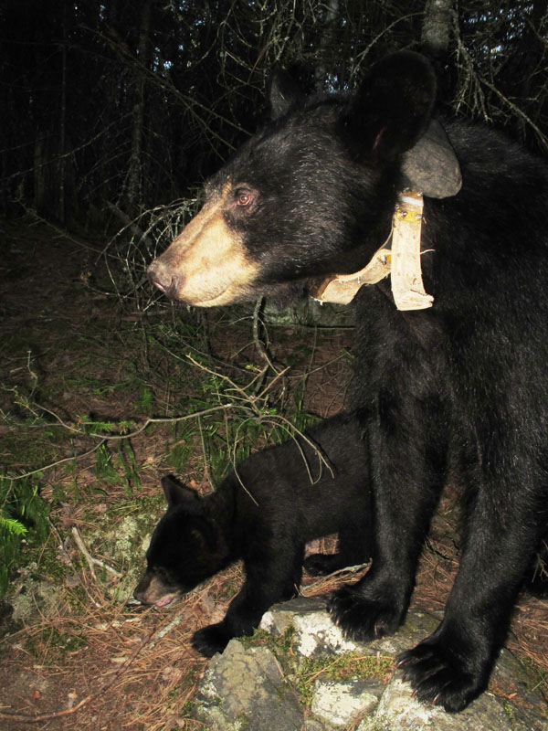 Lily_and_Faith_-_20110703