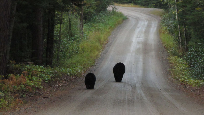 Lily and_Faith_-_20110920