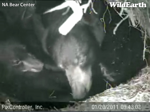 Lily_and_Hope_-_20100120_094302