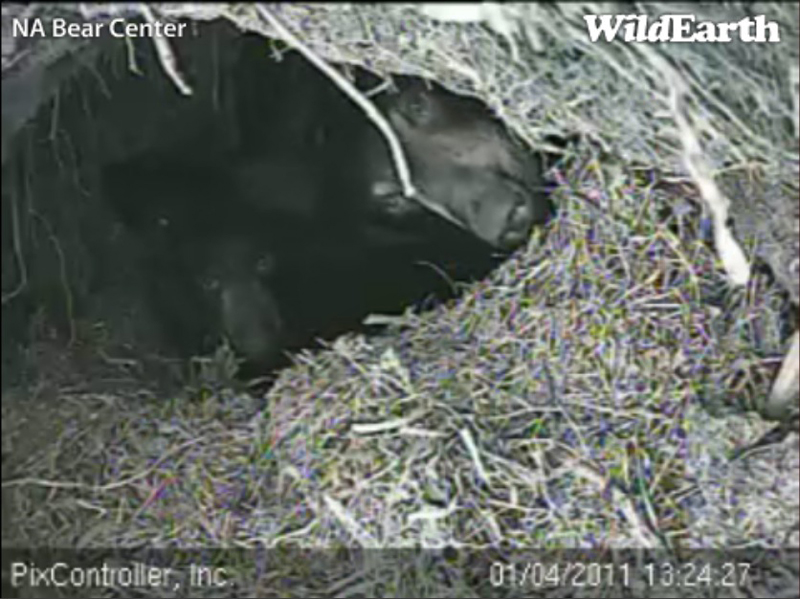 Lily_and_Hope_-_20110104_132427