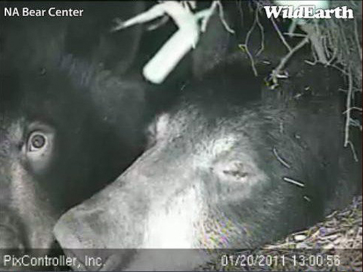 Lily_and_Hope_-_20110120_130056_-_up