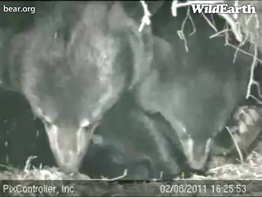 Lily_and_Hope_-_20110208_162553