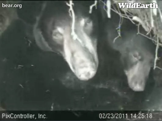 Lily_and_Hope_-_20110223_142518