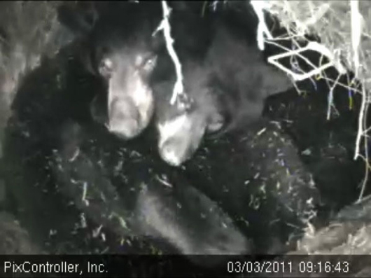 Lily_and_Hope_-_20110303_091643