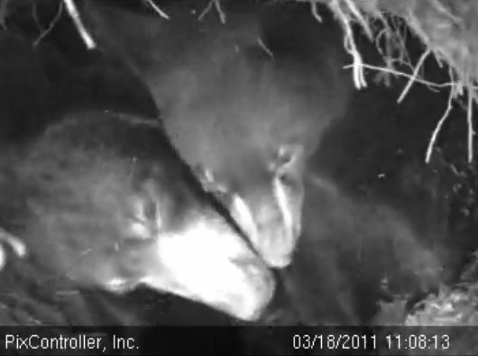 Lily_and_Hope_-_20110318_110813