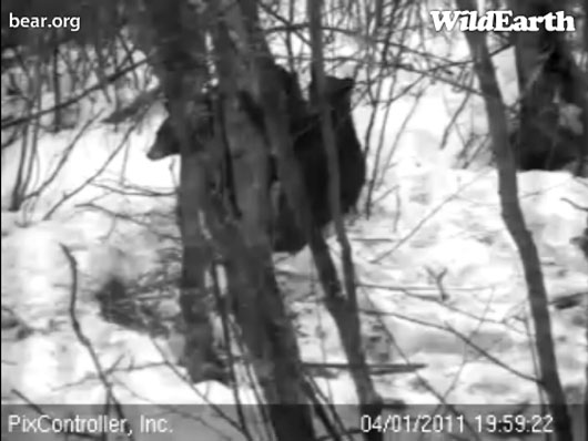 Lily_and_Hope_-_20110401_195922