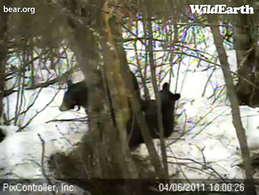 Lily_and_Hope_-_20110406_180026