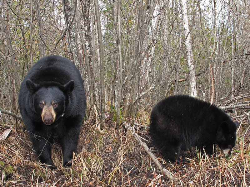 Lily_and_Hope_20101029