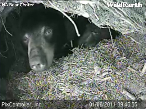 Lily_and_Hope_20110106_094555