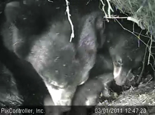 Lily_and_Hope_pull_Jason_in_-_20110301_124723