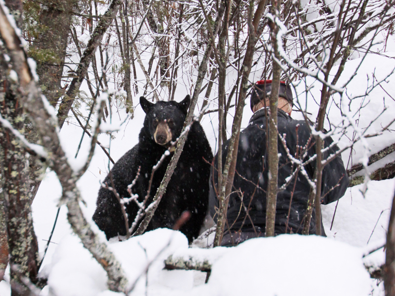 Lily_and_Lynn_-_20101230