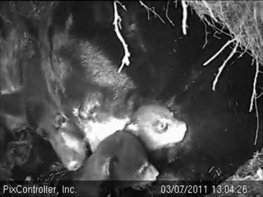 Lily_and_family_-_20110307_130426