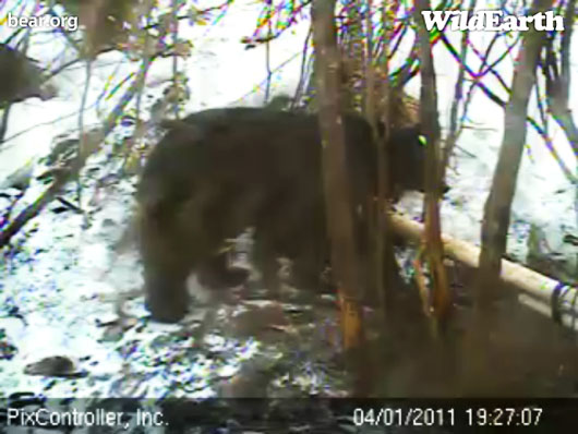 Lily_at_den_-_20110401_192707